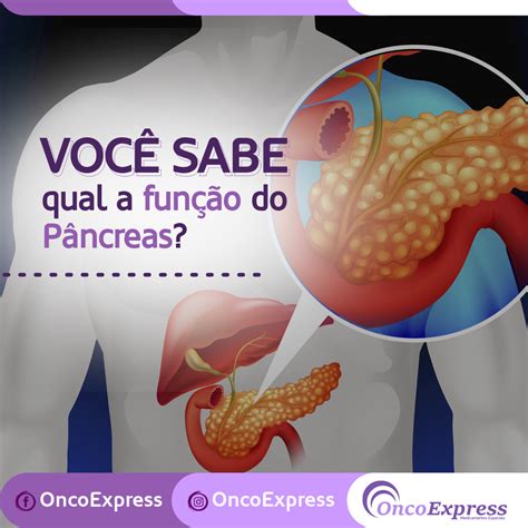 função do pancreas